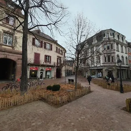 Apartment Studio Saint Martin *